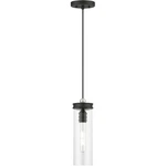 Livex Lighting 41236-04 Devoe Mini Pendant Black With Brushed Nickel Accent. Fixed Price $129.96.