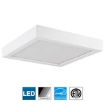 Sunlite Led 9-INCH Square Ceiling Light Fixture, 19W, 4000K Cool White. Fixed Price $59.49.