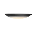 Led Disc Light. Fixed Price $24.00.