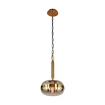 Eurofase Nottingham 1-LIGHT Small Pendant, Brass/tinted Amber 37196-011. Fixed Price $352.00.