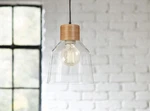 Allen + Roth Mackenzie Brushed Gold Transitional Clear Glass Mini Pendant Light. Fixed Price $36.99.