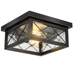 Asnxcju Farmhouse Fixtures Ceiling Mount, 2-LIGHT Black Flush Cei.... Fixed Price $54.72.