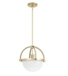 Hunter Fan Company 19234 Wedgefield Pendant Light, Alturas Gold. Fixed Price $74.99.
