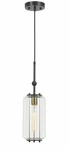 60W Natchez Metal Two Tone Glass Mini Pendant. (edison Bulb Included), Cal Light. Fixed Price $20.99.