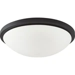 Nuvo Lighting Button Led 17" Flush, Frosted Glass, Black 62-1444. Fixed Price $181.99.