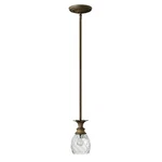 Hinkley Lighting Plantation Mini-pendant, Pearl Bronze 5317PZ. Fixed Price $179.00.