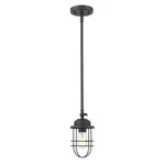 Golden Lighting 9808-M1L Black Seaport Single 5"W Mini Pendant. Fixed Price $27.00.