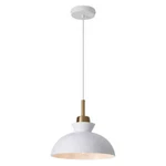 Zjvaive 1-LIGHT Metal Hanging Pendant W/ White Shade. Fixed Price $32.95.