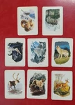 8 Natural Light Canadian Sportsman Wildlife Cigarette Cards, Low Shipping. Fixed Price $13.03.