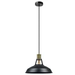 Globe Electric Robin Ceiling Light Antique Brass 60W E26 Bubble Not Included. Fixed Price $29.00.
