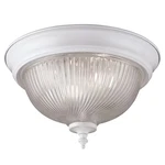 Project Source 11-IN White Steel Ceiling Light Mount Item #505891. Fixed Price $17.00.