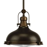 Progress Lighting P5188-LED Bronze Fresnel Lens Single 12"W Pendant. Fixed Price $339.99.