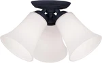 Lighting Ridgedale 3-LIGHT Black Ceiling Mount Fixture. Fixed Price $136.99.