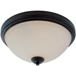 Z-lite 314F3-BRZ Chelsey Light Inch Bronze Flush Mount Ceiling. Fixed Price $33.00.