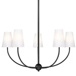 Z-lite 3040-32 Shannon 5 Light 32"W Chandelier Black. Fixed Price $235.00.
