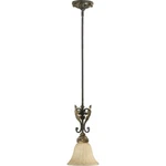 Quorum Rio Salado Light Pendant, Toasted Sienna With Mystic Silver 3157-44. Fixed Price $106.40.