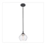 Globe Electric Harrow 1-LIGHT Matte Black Pendant With Clear Glass Shade 60312. Fixed Price $25.00.