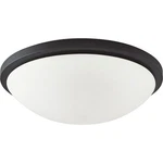 Nuvo Lighting Button Led 11" Flush, Frosted Glass, Black 62-1442. Fixed Price $99.99.