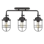Golden Lighting 9808-LSF Black Seaport 3-LIGHT 21"W Semi-flush Ceiling Fixture. Fixed Price $35.78.