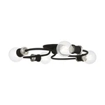 Livex Lighting 46384 Bromley 16"W Flush Mount Ceiling - Black / Brushed. Fixed Price $169.96.