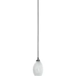 Quorum Light Pendant, Satin Nickel 1740-165. Fixed Price $47.20.