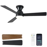 Dolavast Ceiling Fans With Lights, 48 Low Profile Inch, Black. Fixed Price $114.90.