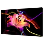 Beautiful Pink Lily Flower Neon Lights Canvas Print Modern Floral Design. Fixed Price $58.67.