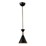 Kenroy Home Arne 1-LIGHT Mini Pendant Matte Black With Antique Brass Finish. Fixed Price $39.99.