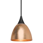 Besa Lighting 1XT-1758CF-LED-BK Divi Black Cord Pendant Ceiling. Fixed Price $382.50.