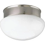 Progress Lighting P3408-09WB Traditional One Flush Mount. Fixed Price $16.19.