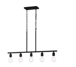 Quoizel Pendle Brooke 5 Light Matte Black Bare Bulb Chandelier. Fixed Price $48.59.
