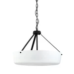 Progress Lighting P500508 Lieon 3 21"W Pendant / Converts - Black. Fixed Price $206.63.