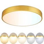 Gold Led Ceiling Light Fixture Flush Mount 15 Inch 36W, Dimmable Fixtur.... Fixed Price $113.99.