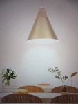 Zjvaive 1-LIGHT Spray Gold Modern Industrial Metal Cone Shade Hanging Pendant. Fixed Price $37.95.