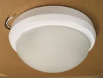 Trans Globe Lighting 13880WH 2-LIGHT 11" Flush Mount Round Ceiling. Fixed Price $30.00.