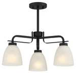 Minka Lavery 4883 Kaitlen Light 20"W Vantage Semi-flush Ceiling Coal. Fixed Price $169.00.