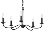 Progress Lighting Pacolet 5-LIGHT Textured Black Chandelier. Fixed Price $132.95.