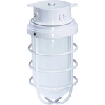 Nuvo Light 11" Industrial Surface Mount W/ Frosted Glass, White SF76-618. Fixed Price $57.99.