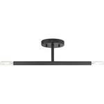 Livex Lighting 51179-04 Copenhagen Semi-flush Mount Black. Fixed Price $79.96.