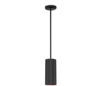 Access Lighting Pilson 1-LIGHT Matte Black Metal Pendant With Shade. Fixed Price $35.74.