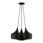 Livex Waldorf Light Cluster Pendant, Black/black Metal/gold Inside 41083-04. Fixed Price $369.96.