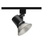 Juno Lighting Track HEAD,FLARE,BLK,2 1/8IN R541. Fixed Price $38.03.