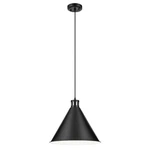 Zailey Light PENDANT-14.25 Inches Tall And 16 Wide-black Finish. Fixed Price $189.97.