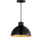 Maxim 35144BKACP Rockport Pendant, 1-LIGHT 60 Watts, Black / Antique Copper. Fixed Price $114.84.