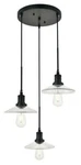 Chandelier Black Kitchen Foyer Pendant 3 Glass Modern Dining Room Lighting. Fixed Price $205.63.