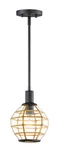 Maxim Heirloom Pendant Light In Black And Burnished Brass. Fixed Price $110.00.
