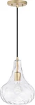 Austin Allen AA1004SF River Transitional Clear Textured Glass Teardrop Pendant. Fixed Price $24.75.