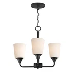 Maxim 12873SWBK Hudson Light Chandelier-black. Fixed Price $164.00.