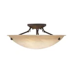 Livex Lighting 5626-07 Bronze Oasis 3-LIGHT Semi-flush Ceiling Fixture. Fixed Price $113.99.