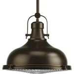 Progress Lighting P5197 Bronze Fresnel Lens Single 16"W Pendant. Fixed Price $459.99.